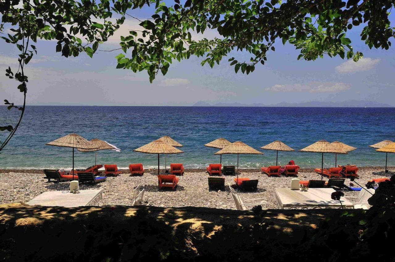 Melinda Pension & Restaurant Mesudiye  Exterior photo