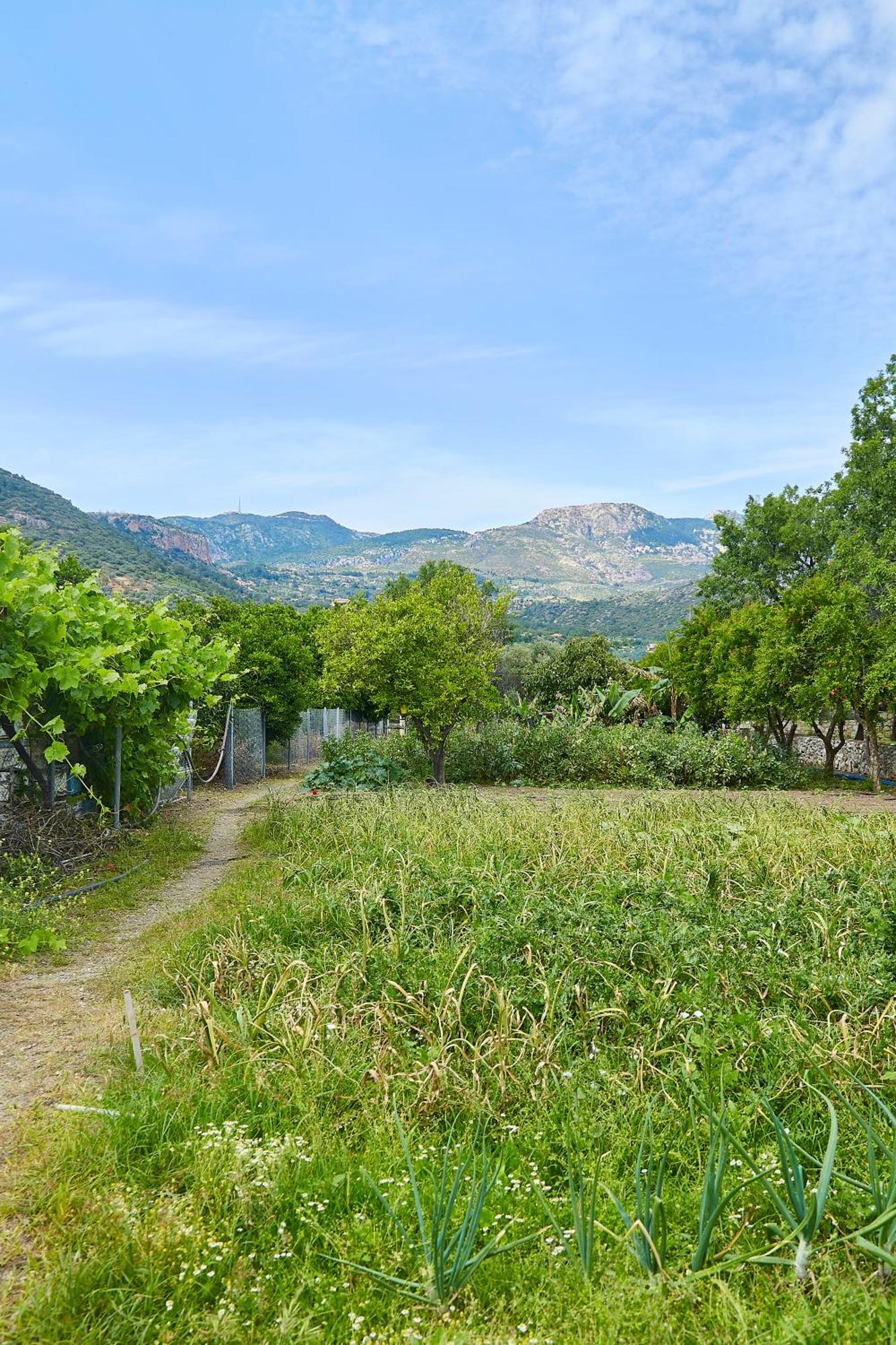Melinda Pension & Restaurant Mesudiye  Exterior photo